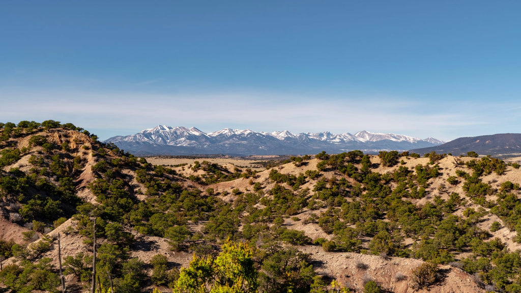 35 Acre Wooded Homesite bordering over 3,250+ Acres of BLM Land in Southern Colorado