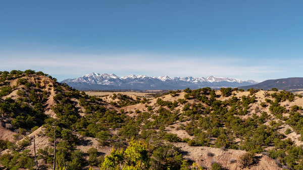 35 Acre Wooded Homesite bordering over 3,250+ Acres of BLM Land in Southern Colorado