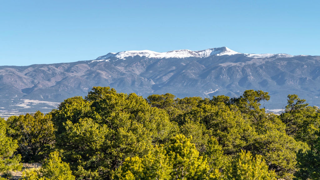 35 Acre Wooded Homesite near 3,600+ Acres of BLM Land in Colorado