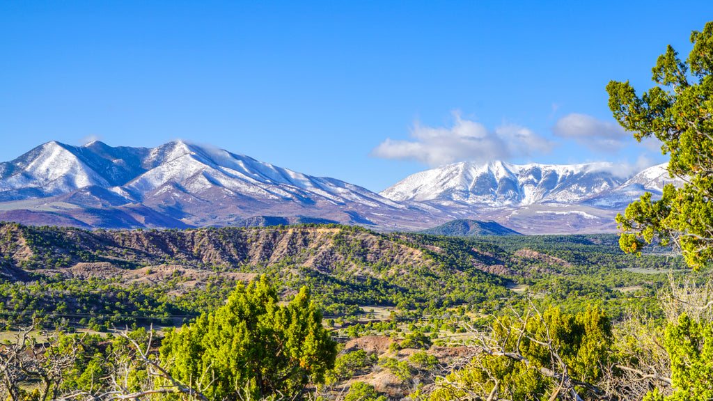 35 Acres with Mountain Views bordering BLM Land : CO_Huerfano_00045