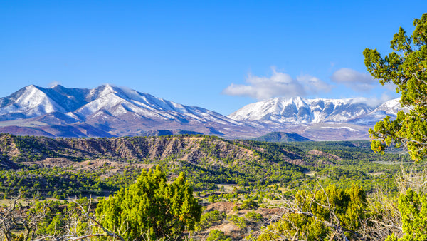 35 Acres with Mountain Views bordering BLM Land : CO_Huerfano_00045