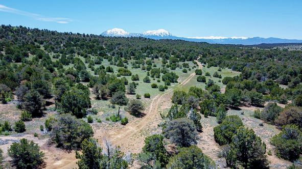 1.4 Acre Homesite Bordering the Lathrop State Park : CO_Huerfano_00048