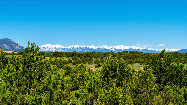 35.75 Acre Wooded Homesite with Road Frontage & Mountain Views : CO_Huerfano_00049