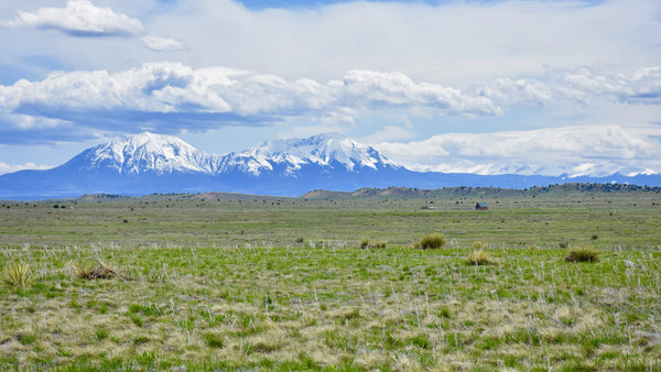 40 Acre Ranch with Electricity, Telecom & Road Frontage : CO_Huerfano_00061