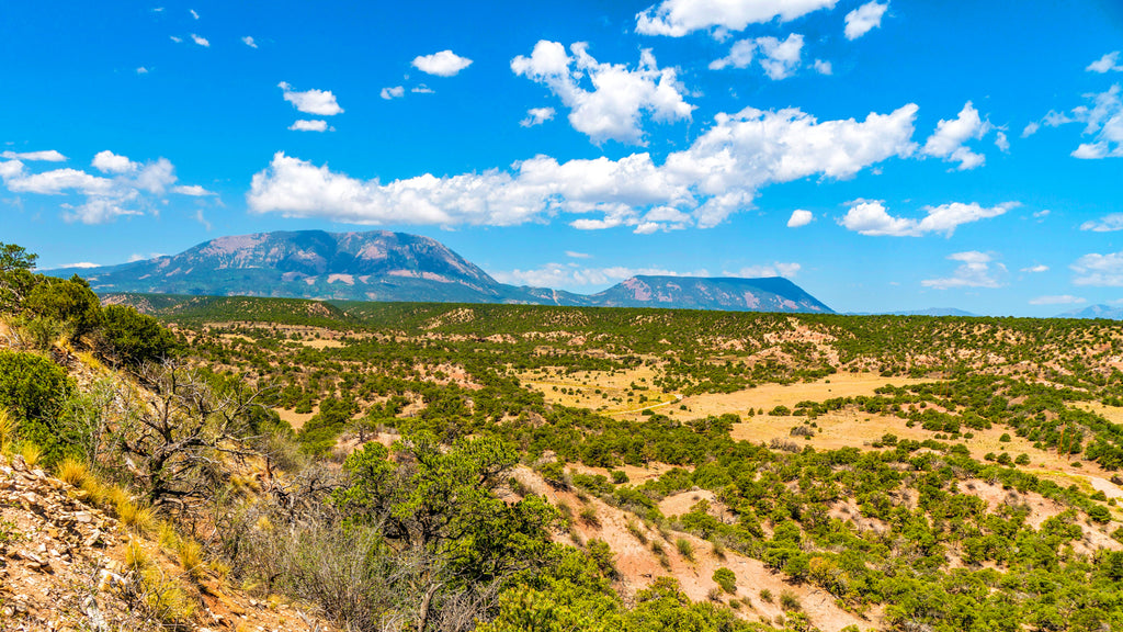 35 Acres with Road Access near San Isabel National Forest : CO_Huerfano_00070