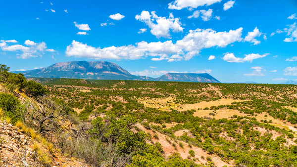 35 Acres with Road Access near San Isabel National Forest : CO_Huerfano_00070