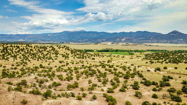 70 Acres with County Road Frontage bordering BLM Land : CO_Huerfano_00073