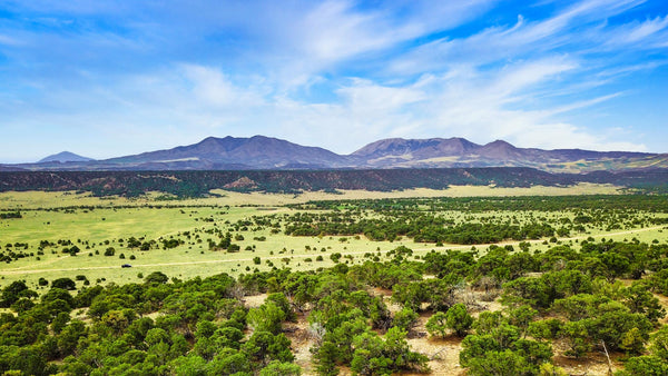 35 Acres with County Road Frontage bordering BLM Land : CO_Huerfano_00074
