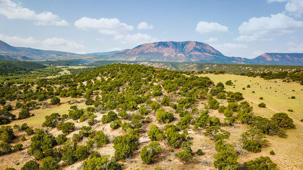 35 Acres with Mountain Views & Road Access : CO_Huerfano_00079
