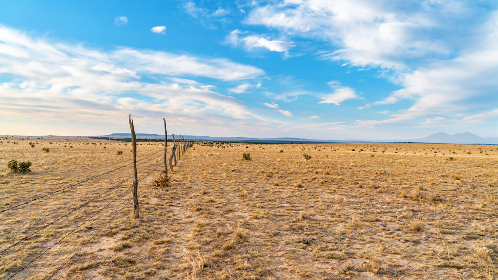 39.17 Acres with Electricity & Road Access near BLM Land : CO_Huerfano_00083