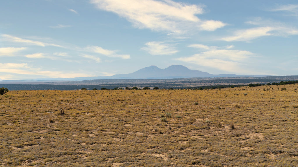 39.44 Acres with Road Access & Mountain Views near BLM Land : CO_Huerfano_00086