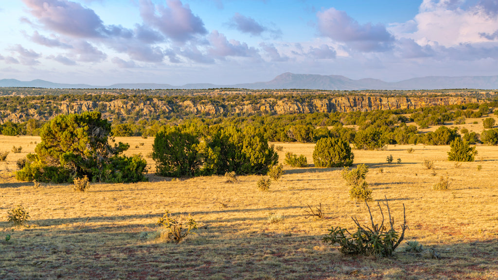 39.74 Acres with Dirt Road Access near BLM Land : CO_Huerfano_00088