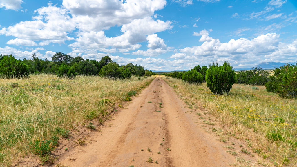 Lot with Mountain Views near Lathrop State Park : CO_Huerfano_00097