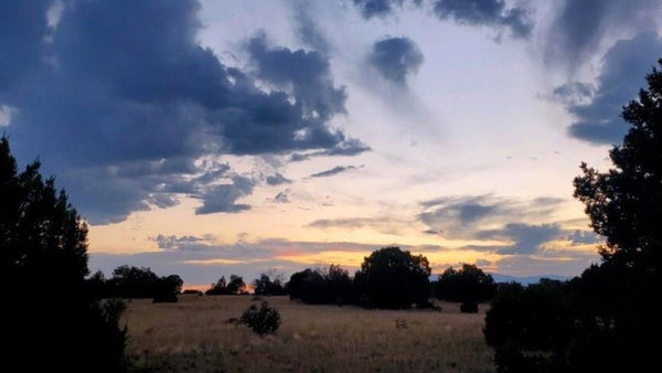 37 Acres with Road Frontage, Electricity & bordering State Land : CO_Huerfano_00103