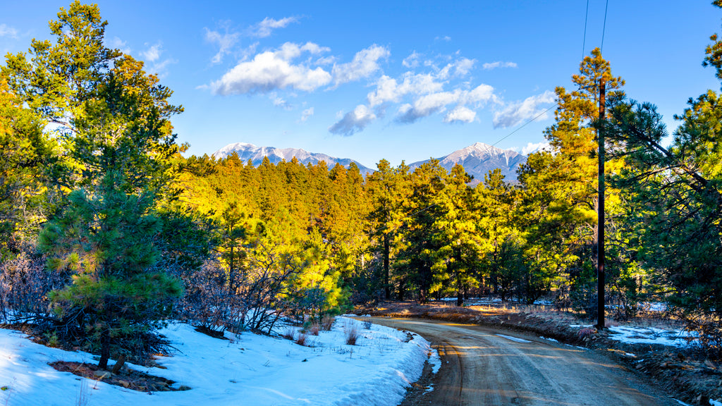 5 Acre Wooded Mountain Homesite with Electricity & Road Access : CO_Las-Animas_00043