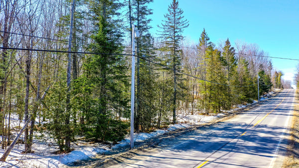 42 Acres with Road Frontage, Electricity & Natural Wetlands : ME_Penobscot_00001