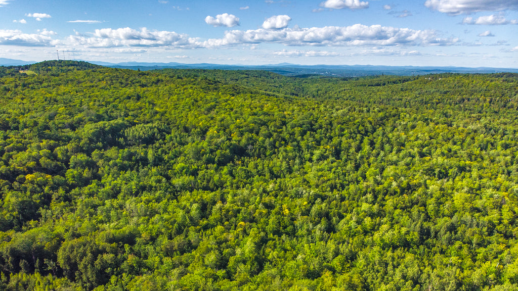 12 Acre Wooded Lot with Road Access near the Kennebec River : ME_Somerset_00001