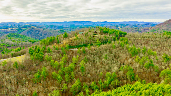 4.98 Wooded Mountain Acres with Electricity & Paved Roads : NC_Ashe_00004