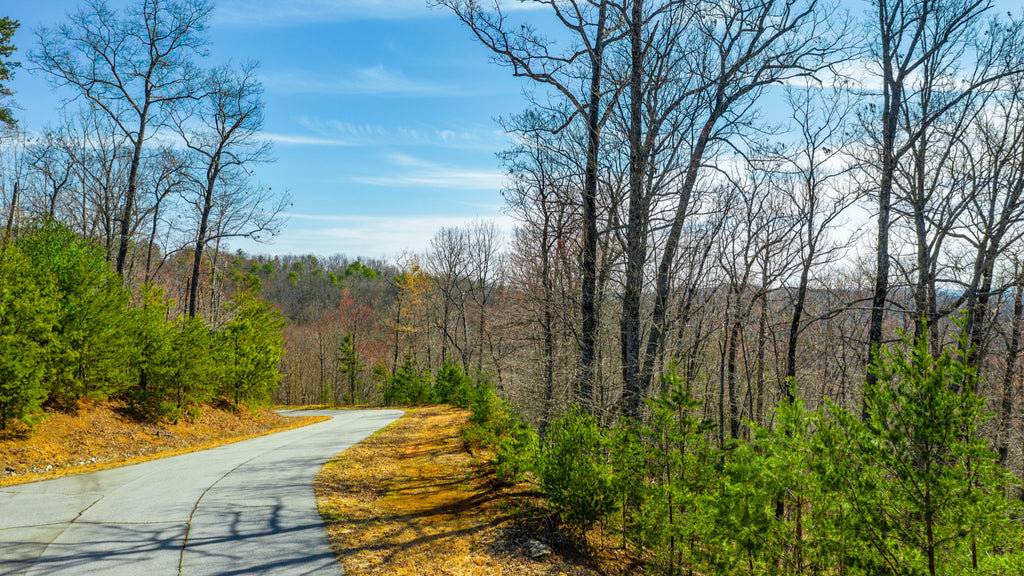 4 Acres in Gated Community with Electricity & Paved Roads : NC_Wilkes_00001
