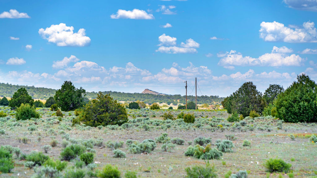 10 Acre Ranch with Mountain Views bordering State Land : NM_Cibola_00023