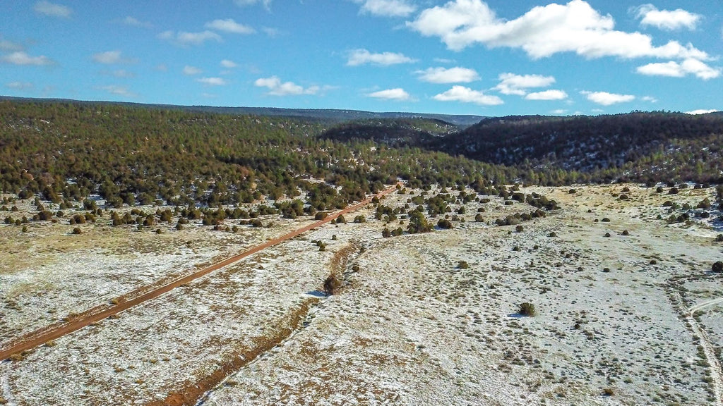 20 Acre Rural Ranch with Electricity near Private National Forest Access : NM_Cibola_00039