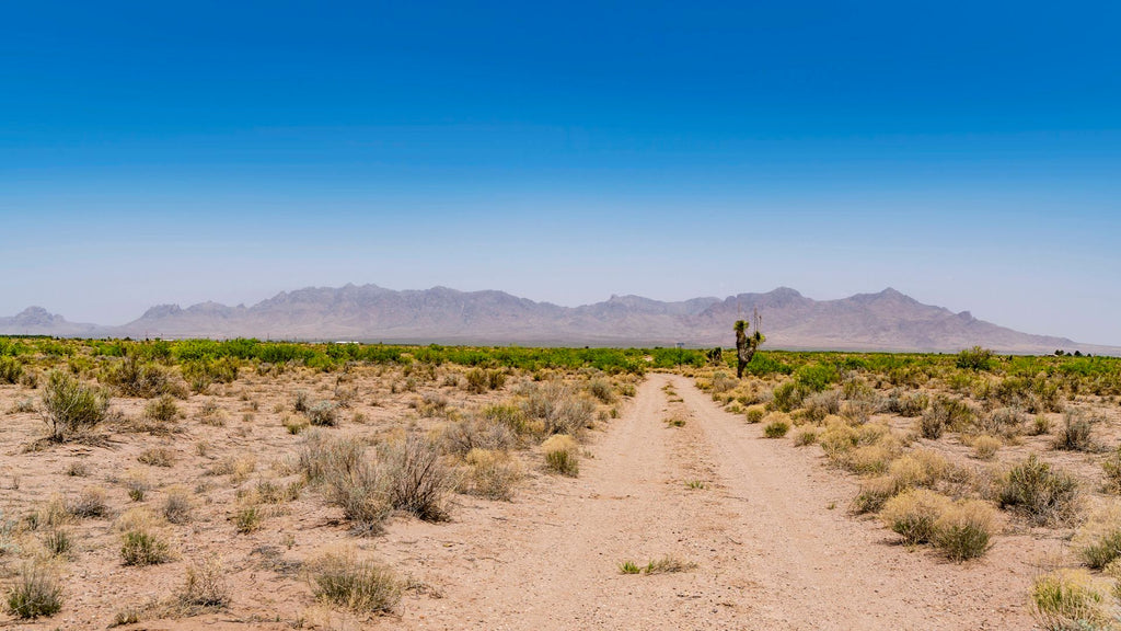 14.8 Acres with Road Frontage & Mountain Views in New Mexico