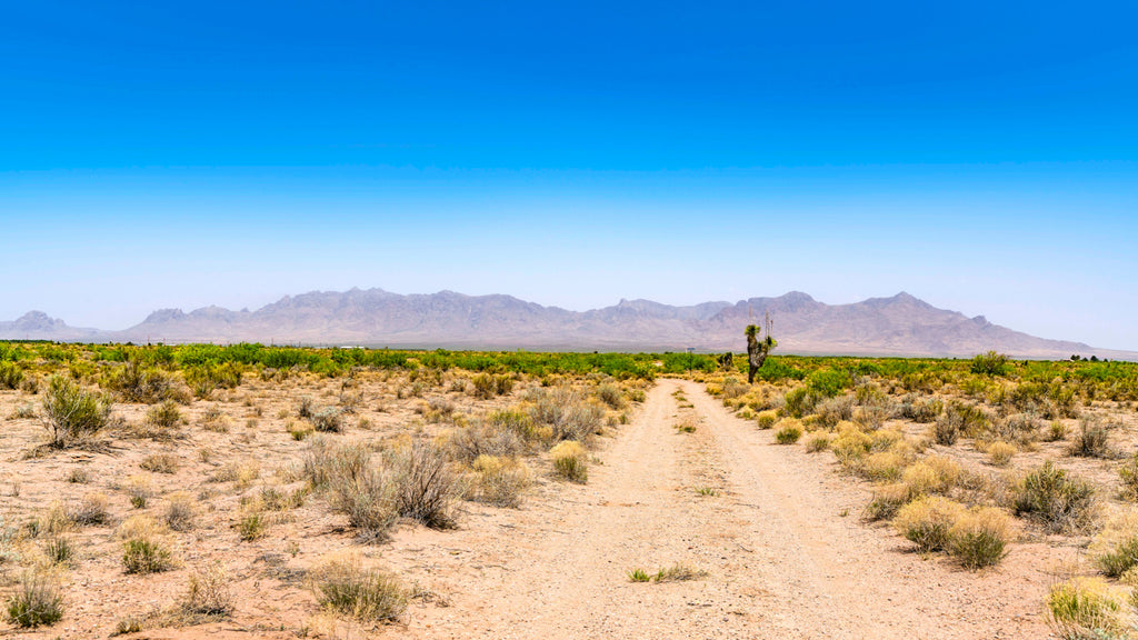 14.8 Acre Ranch with Mountain Views & Road Frontage : NM_Luna_00020