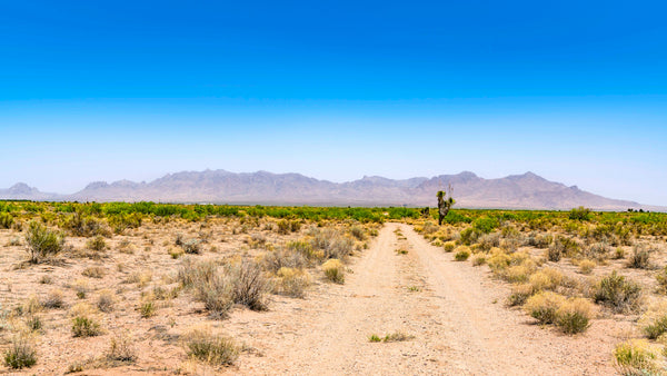 14.8 Acre Ranch with Mountain Views & Road Frontage : NM_Luna_00020