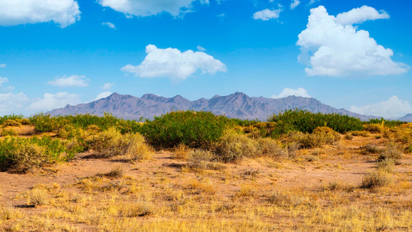 160 Acre Ranch with Road Access Bordering Public Land : NM_Luna_00021