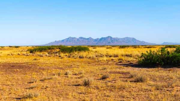 158 Acre Ranch bordering over 1 Million Acres of Public Land : NM_Luna_00024