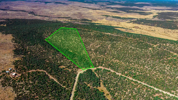 23.1 Wooded Acres in Gated Community bordering Cibola National Forest : NM_Torrance_00010