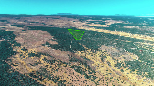 17.42 Wooded Acres in Gated Community with Mountain Views near National Forest : NM_Torrance_00011