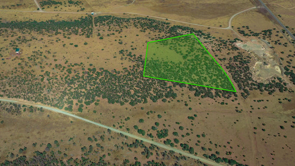 10.18 Acres in Gated Community with Electricity near Cibola National Forest : NM_Torrance_00015