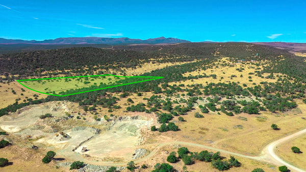 10.43 Acres in Gated Community with Road Frontage & Electricity near National Forest : NM_Torrance_00016