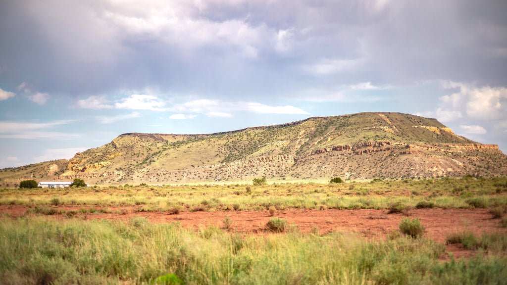 Lot with Mountain Views, Electricity & Road Frontage : NM_Valencia_00001