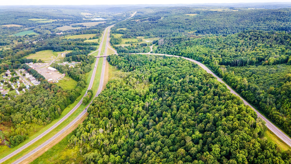 28.2 Wooded Acres with Road Access & Electricity : NY_Broome_00001