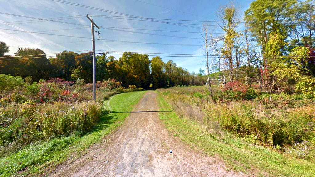 2.32 Wooded Acres with Utilities & Road Frontage near Lake : NY_Oswego_00001
