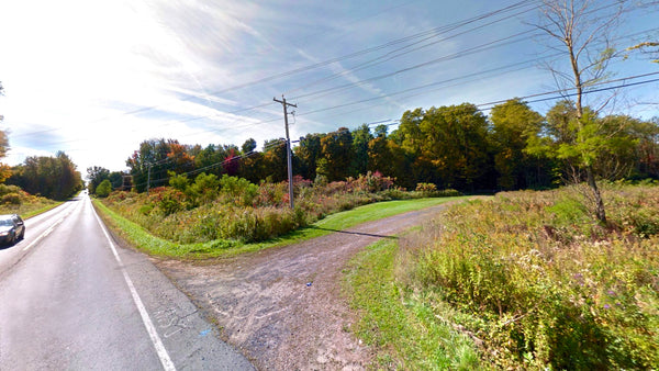 3.56 Wooded Acres with Road Frontage & Utilities near Lake  : NY_Oswego_00002