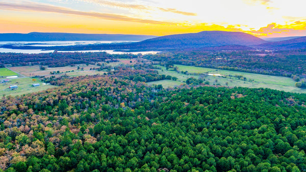 8.27 Acre Homesite with Road Frontage Bordering Anderson Creek: OK_Latimer_00004