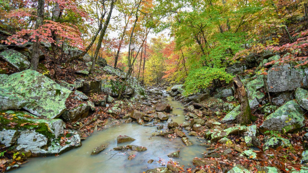 6.55 Acre Homesite with Road Frontage Bordering Anderson Creek: OK_Latimer_00005