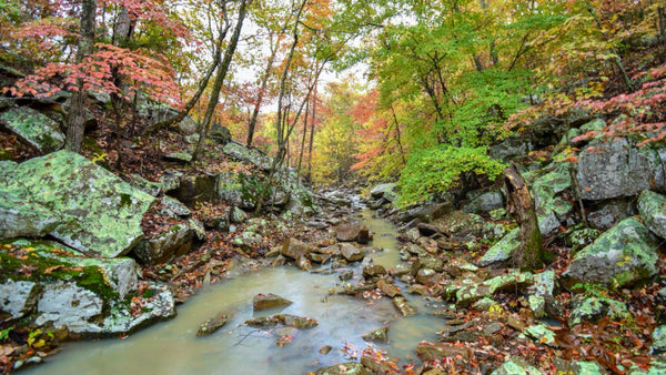 6.55 Acre Homesite with Road Frontage Bordering Anderson Creek: OK_Latimer_00005