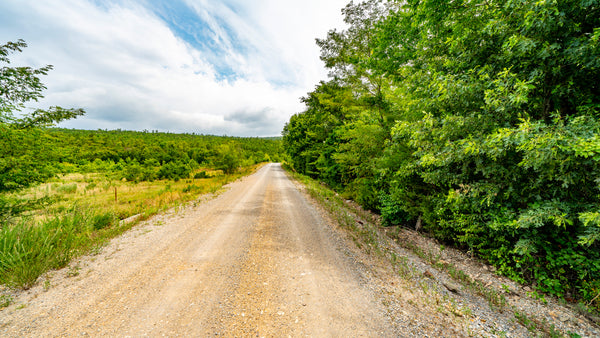 6.13 Wooded Acres along Anderson Creek with Road Frontage : OK_Latimer_00007