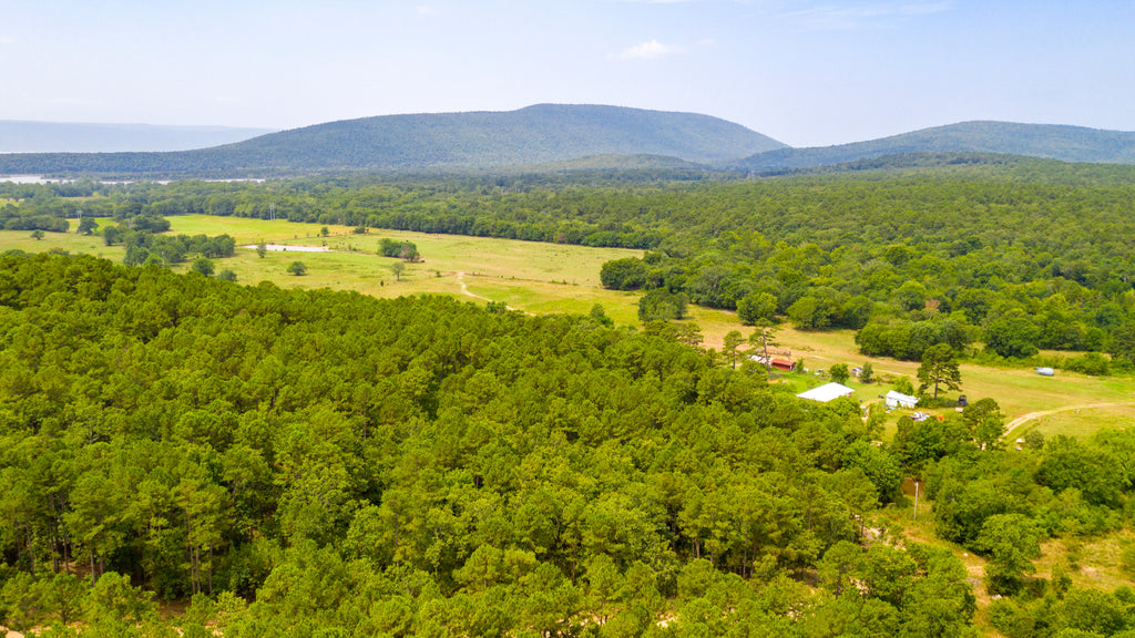 1.63 Acres with Road Access & Utilities near Sardis Lake : OK_Latimer_00009