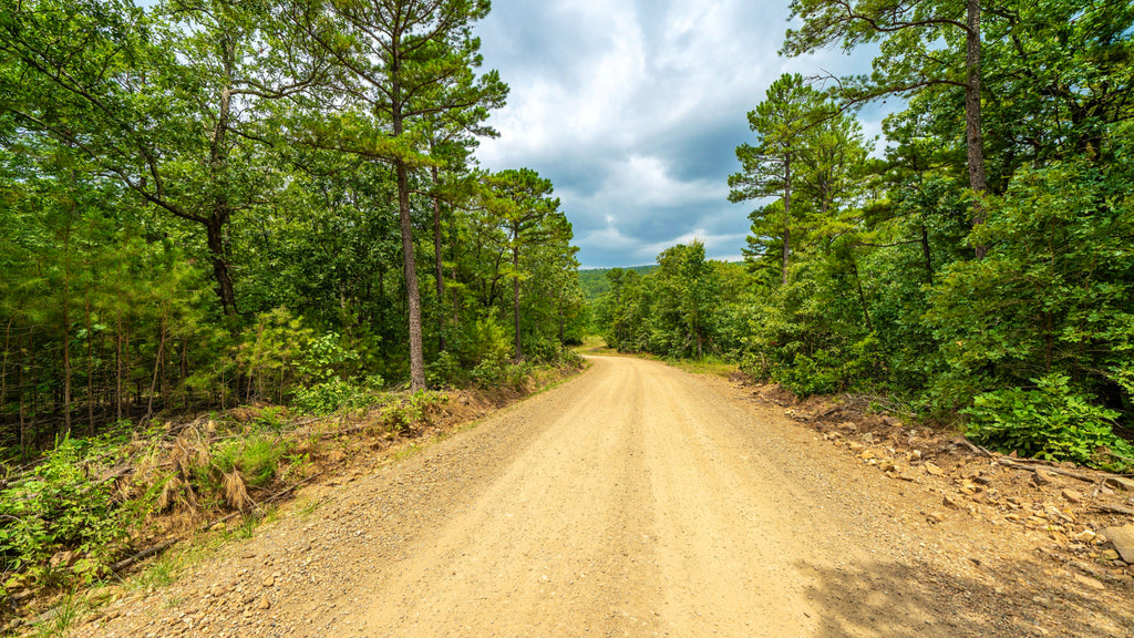 6.96 Acre Homesite with Road Frontage near Sardis Lake : OK_Latimer_00010