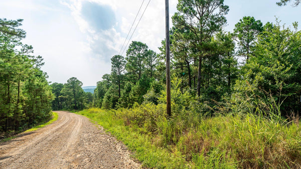 4.56 Acres with Utilities & Road Frontage bordering Creek : OK_Latimer_00012