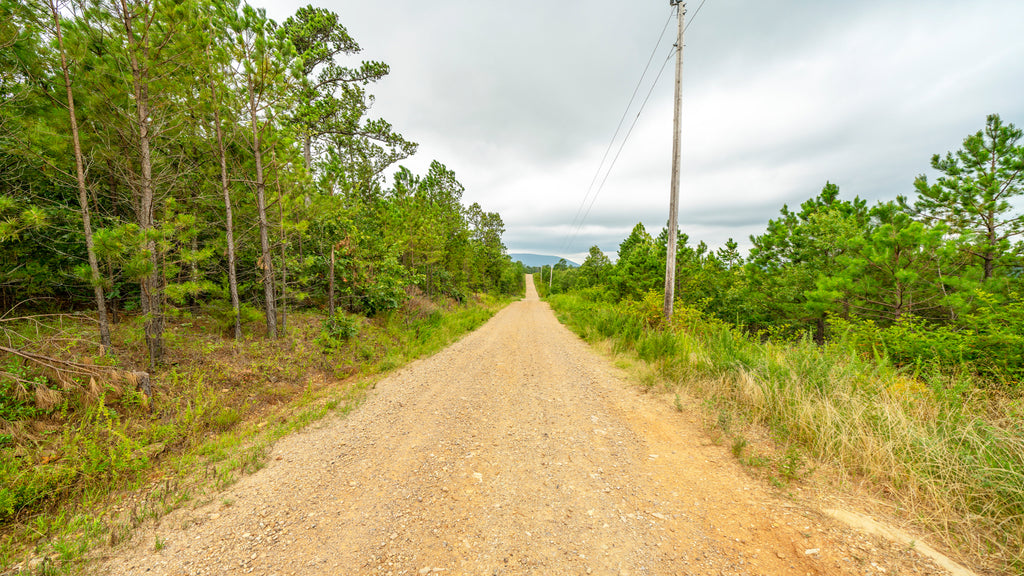 3.13 Wooded Homesite with Utilities & Road Frontage near Sardis Lake : OK_Latimer_00020