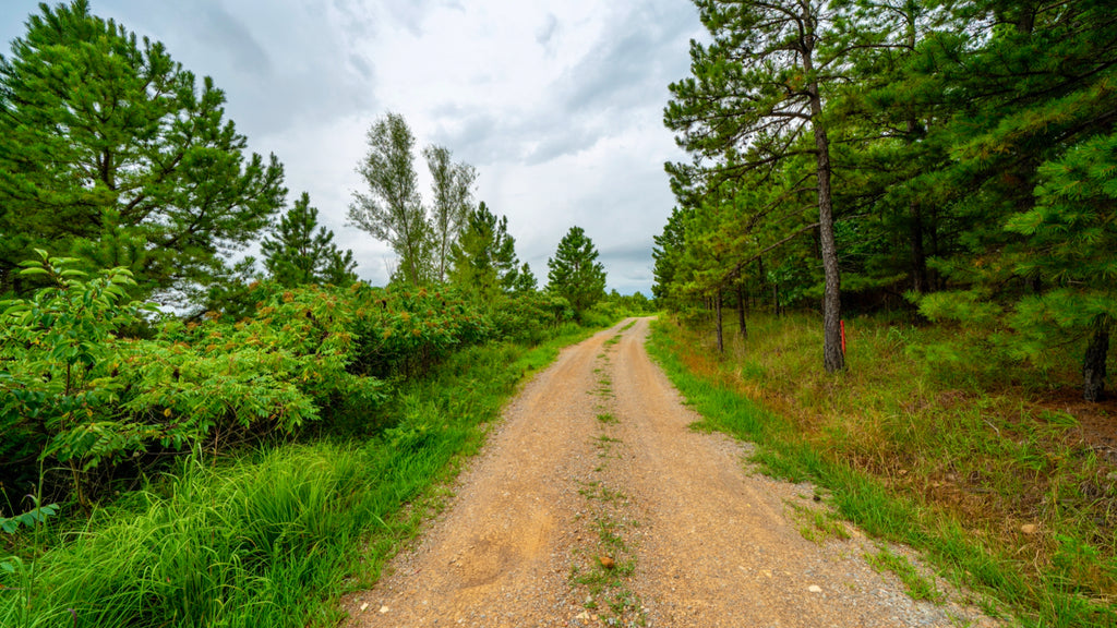 2.95 Acre Lake View Homesite with Utilities & Road Frontage : OK_Latimer_00025