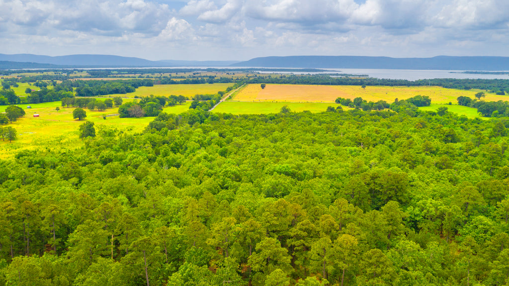 3.04 Acre Lake View Wooded Homesite with Utilities & Road Frontage : OK_Latimer_00031