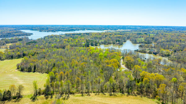 Wooded Lot with Road Frontage & Utilities across from Lake : TN_Gibson_00001