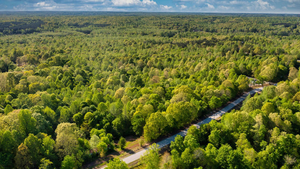 4.93 Wooded Acres with Utilities & Road Frontage : TN_Madison_00001